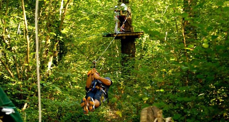 La forêt des Vert'tiges