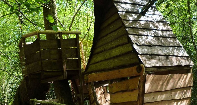 La forêt des Vert'tiges