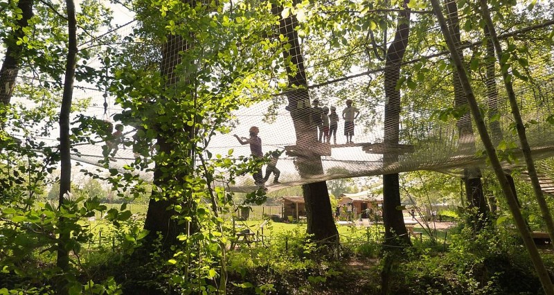 La forêt des Vert'tiges