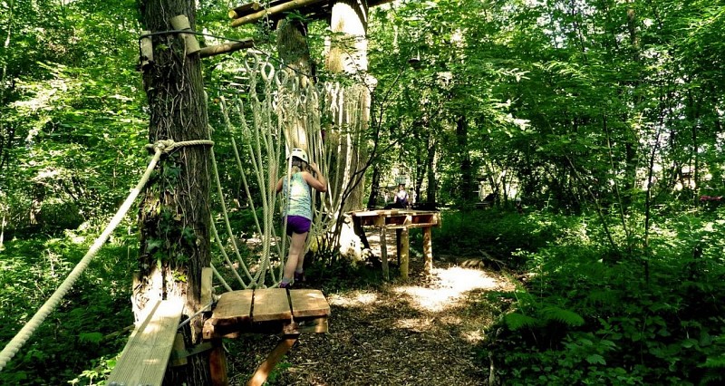 La forêt des Vert'tiges