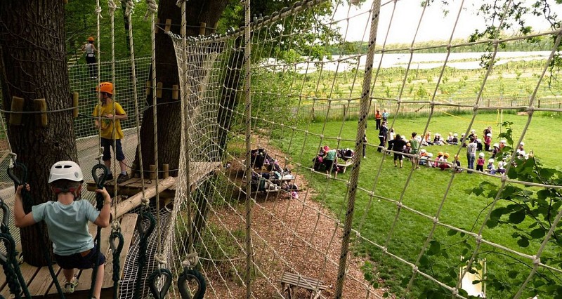 La forêt des Vert'tiges