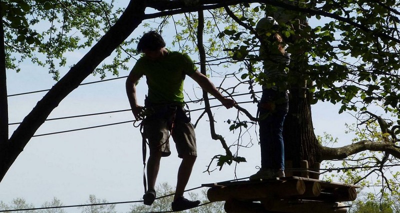 La forêt des Vert'tiges