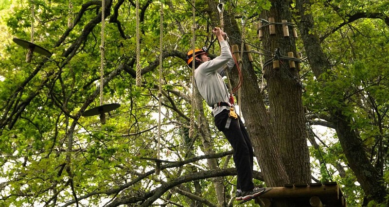 La forêt des Vert'tiges