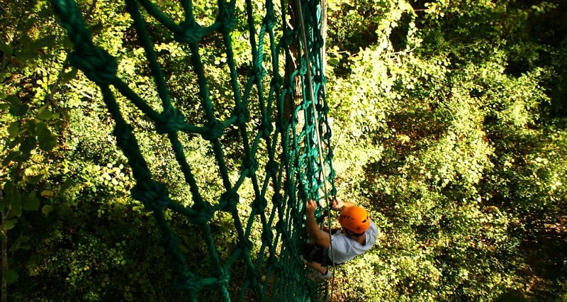 La forêt des Vert'tiges