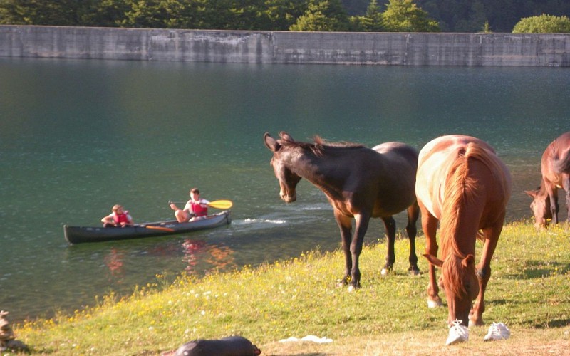 Bious-Pagayous8©Bious-Pagayous