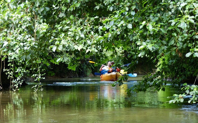 Jungle-canoe---La-Bastide-Clairence---Pays-Basque--8-