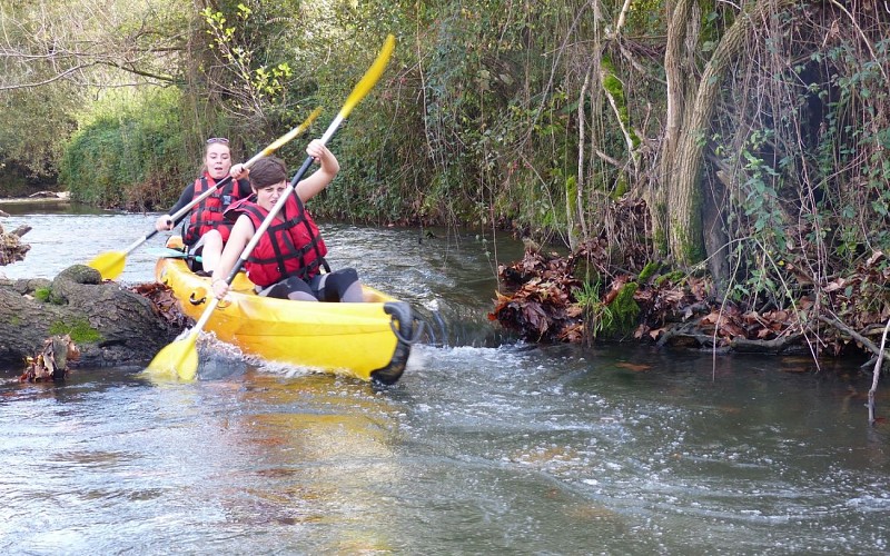 Jungle-canoe---La-Bastide-Clairence---Pays-Basque--4-