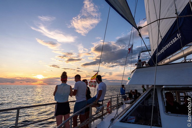 Explore-Ocean-02-075_uxga