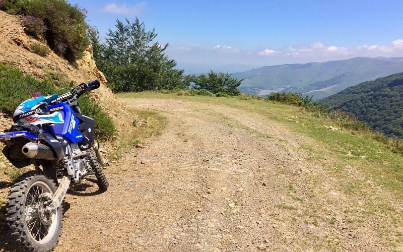 Transpyrando-rec-2-ok