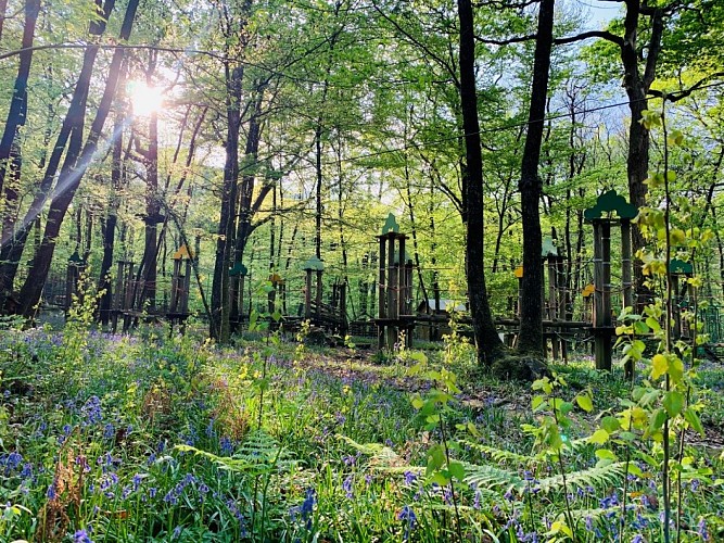 Le parcours Ouistiti