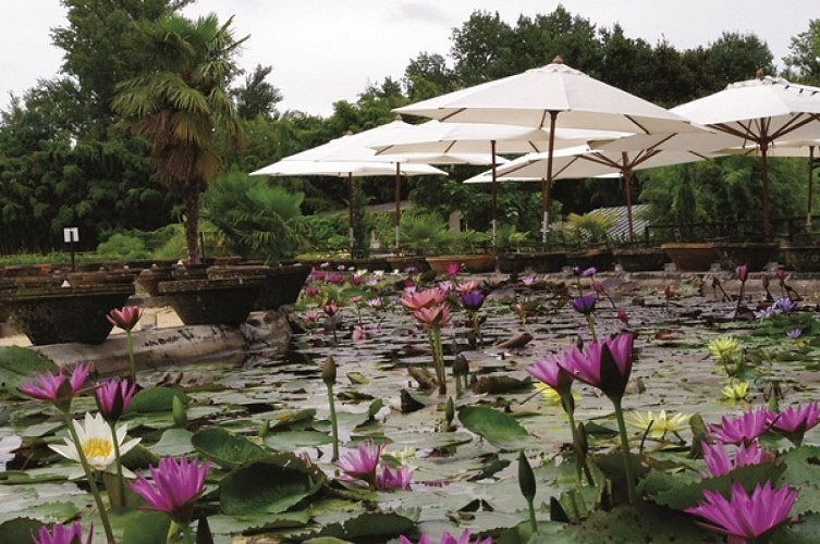 CAFE-MARLIACEA-COTE-BASSIN