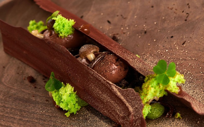 ARRAYA 20222541_WEB72dpi SRGB_┬®JPEG-STUDIOS