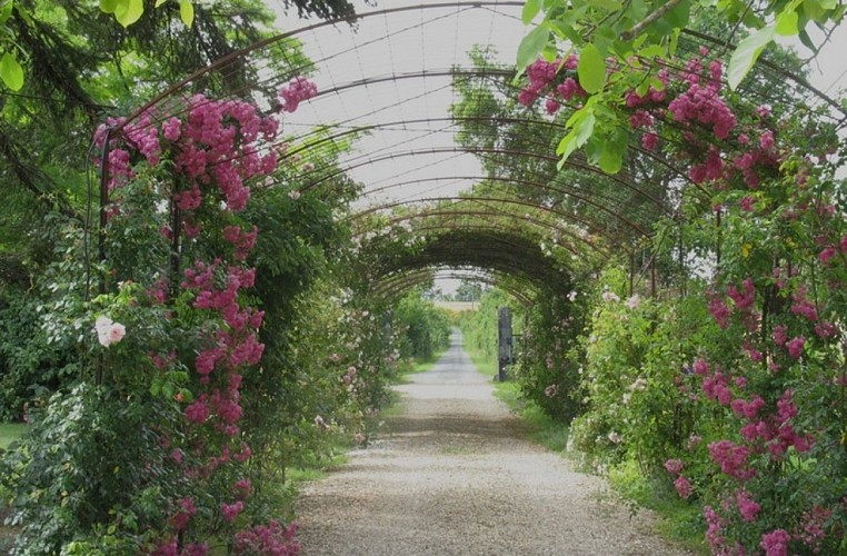 IMG_7 Château Gauthié