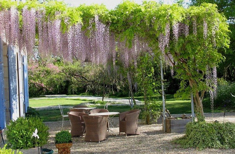 IMG_5 Château Gauthié