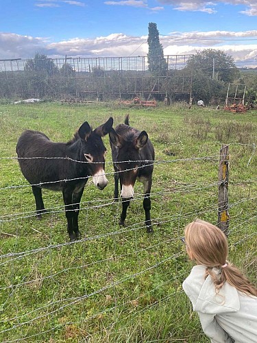 Camping La Roussie sarlat (7)