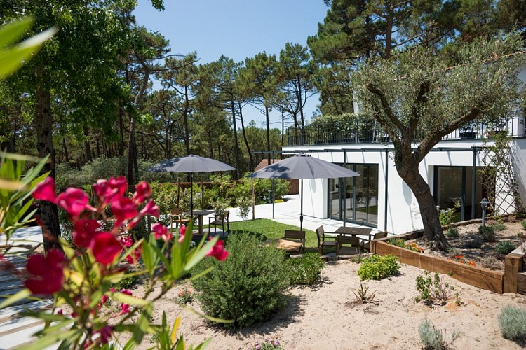 Chambrehote_Ferretvigne(2)