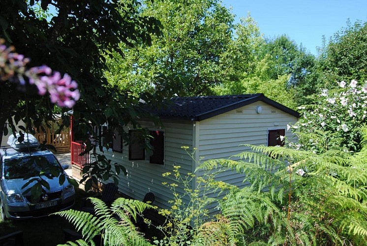 DSC-3371