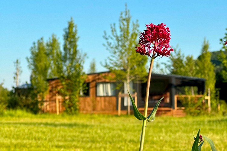 camping-bord-de-riviere-dordogne-perigord-noir-chalet-boheme