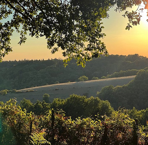 HPA_La_Nouvelle_Croze_soleil_IMG_4986 paysage©LaNouvelleCroze