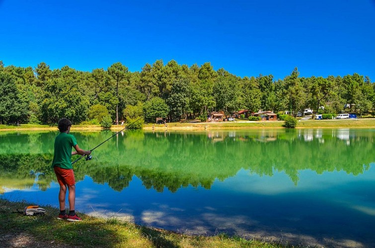 69186092_10219323471215069_8844340455723237376_o