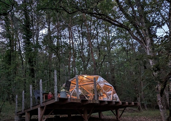 dôme éclairé - Copie_ARBOREA_Janv 2025 ©ARBOREA