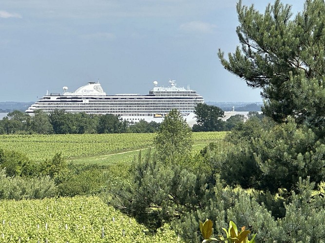 MAISON JEROBOAM_Vue estuaire 2