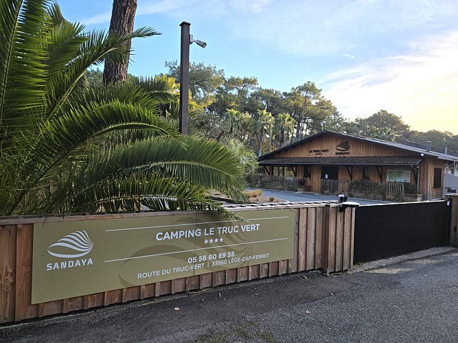 2024-09-19.jpg truc vert 2