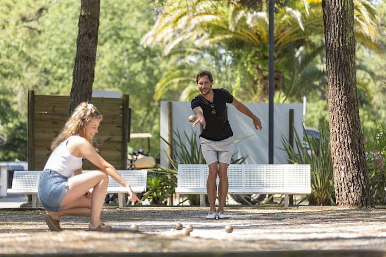 2024-09-19.jpg truc vert 3