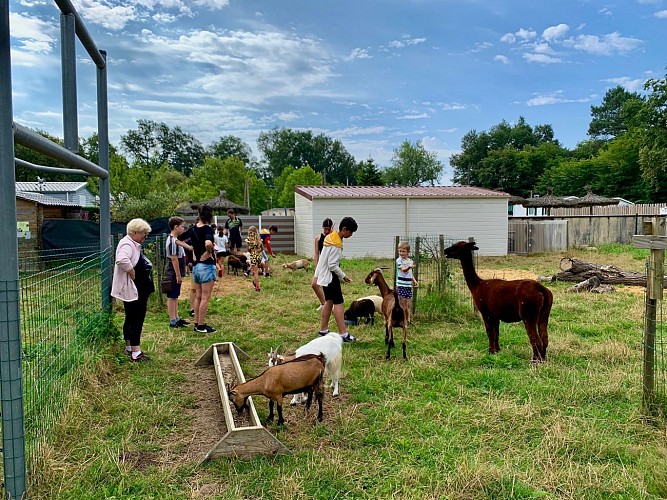 Camping Bel Air - Ferme