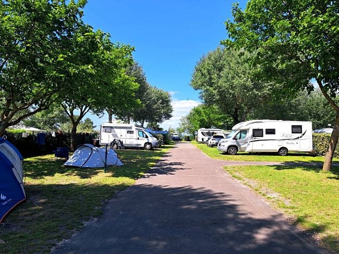 20240603_155629 (Medium)