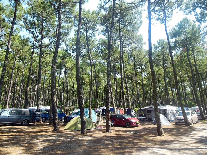 Camping_Bremontier (2)