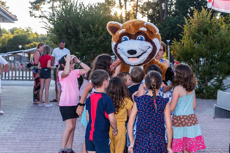 LIT_Soleildeslandes7