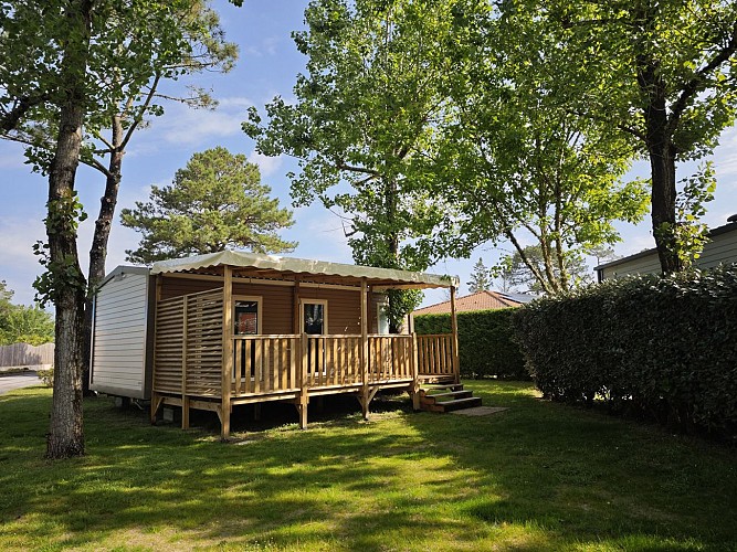 camping la cote messanges landes atlantique sud (2)