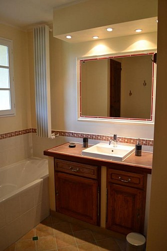 Château de Laroche 06