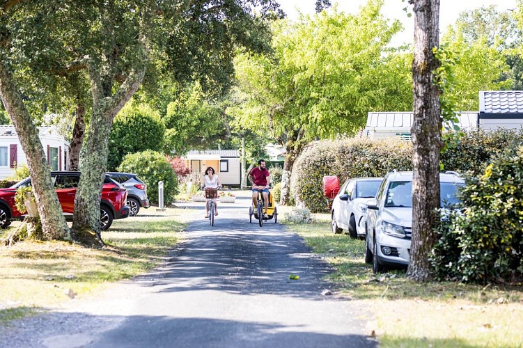 Allée du camping
