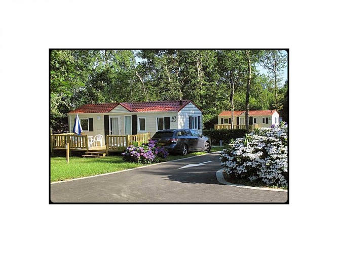 2021-TS petit poun (5)