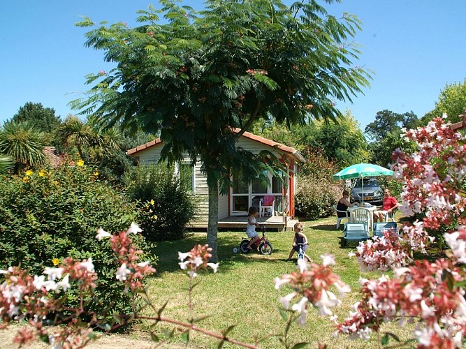 2021-TS petit poun (1)