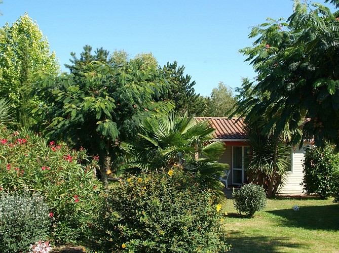 2021-TS petit poun (2)