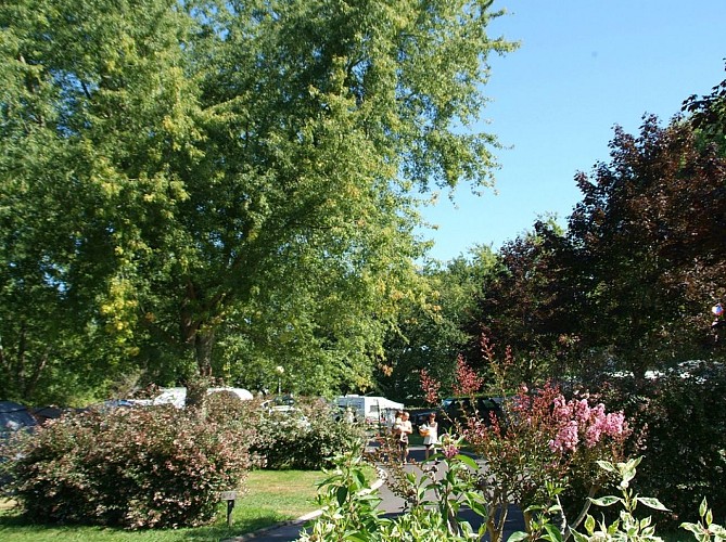 2021-TS petit poun (4)