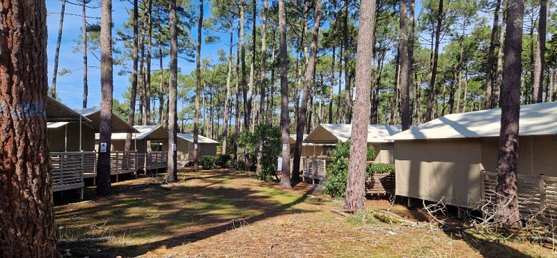 LIT-CampingCap_Camping_zone_lodges_01