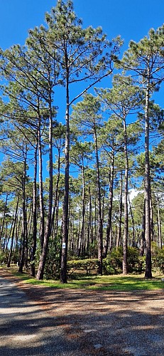 LIT-CampingCap_Camping_Cap_03