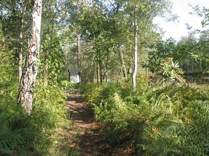 Etang des Bénissons