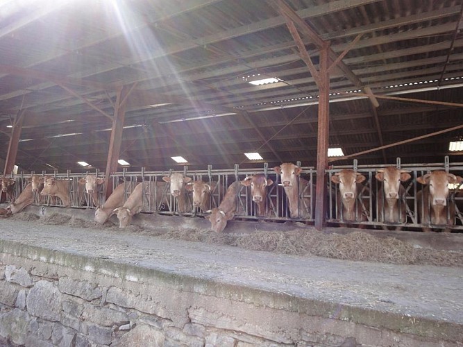 Herriesta - chambres d'hôtes Irissarry (13) (Copier)