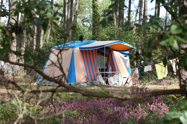 STJU_Camping La Téouleyre  (1)