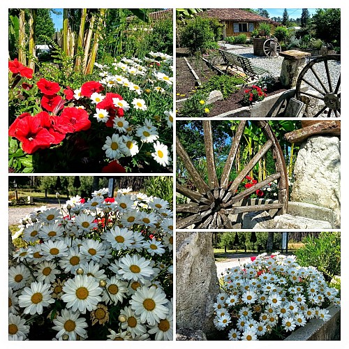 St-Miche-Escalus_Domaine du Cayre_compo fleurs charette