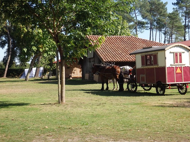 LIT-camping-LassalleTS