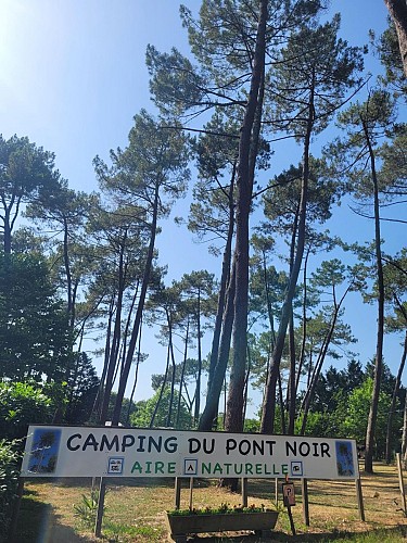 STJU_Camping Le Pont Noir