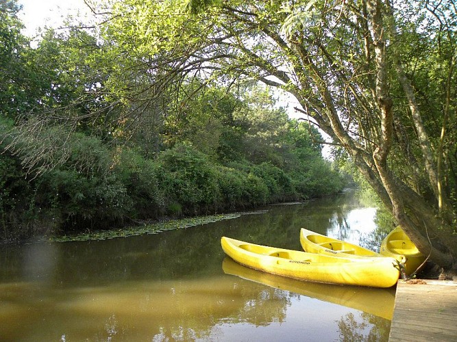 le pins bleus marmotel_Canoë_03