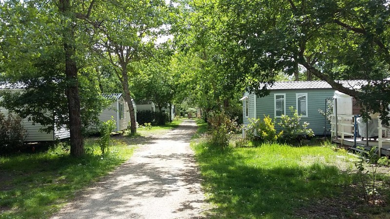 STJU_camping_vieuxmoulin_3