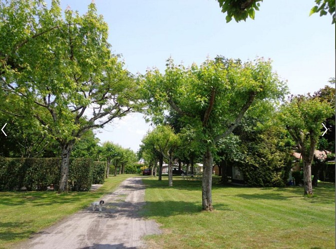 Camping Bireben_Soustons_landes atlantique sud